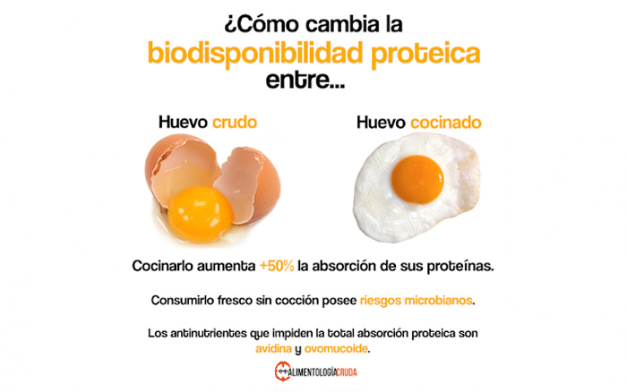 ¿cómo Da Más Proteína El Huevo Con Huevos® 2024emk 4146