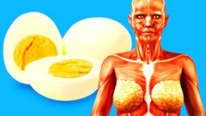 ¿Qué pasa si comes 2 huevos todos los días?