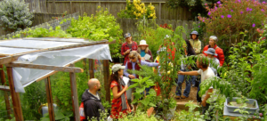 Cómo jardinería al aire libre en invierno y cultivar verduras frescas